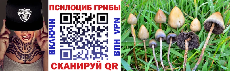 Псилоцибиновые грибы мухоморы  Купить где  Кодинск 